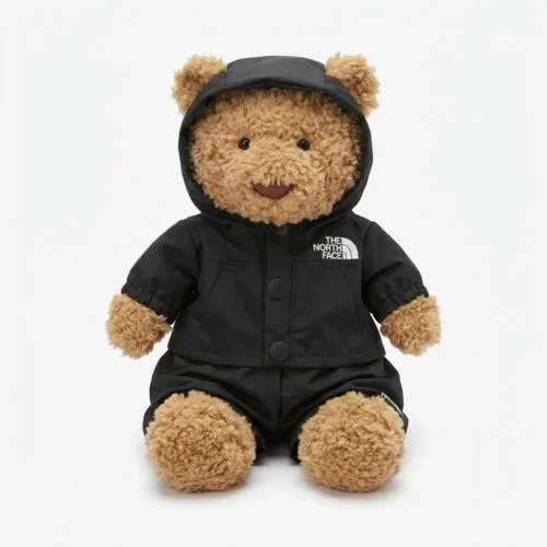 Black North Face Sportswear Outfit